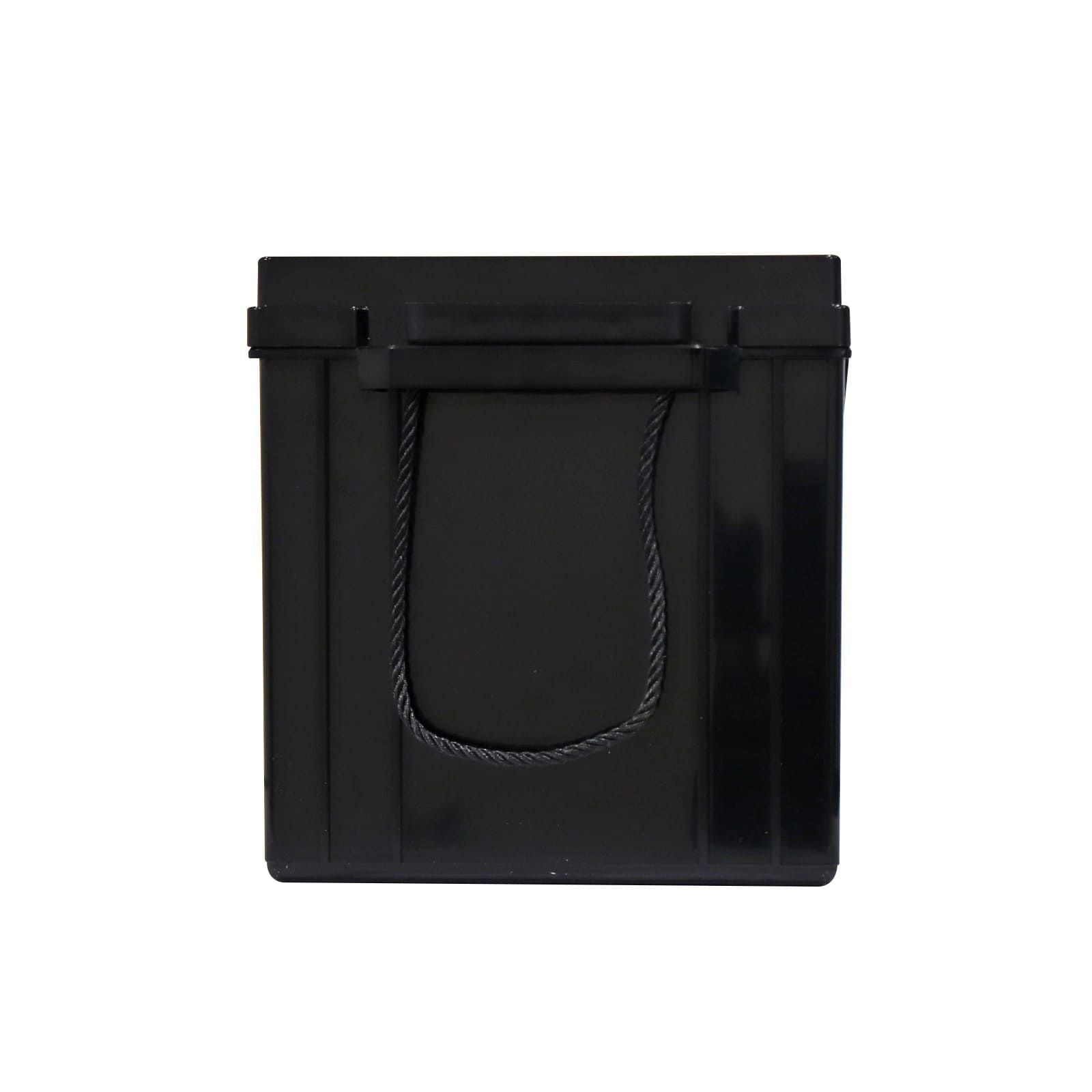 Batería de LITIO LiFePO₄. Modelo: BATT12-200-LITIO