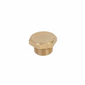 Tapón de cebado 1/4" para las bombas FIX05E, FIX10E, FIX15E, FIX15E/3230, STEPT60-07-03/1115, STEP80-10-03/1115. Modelo: FIX-E/TCEBADO1/4
