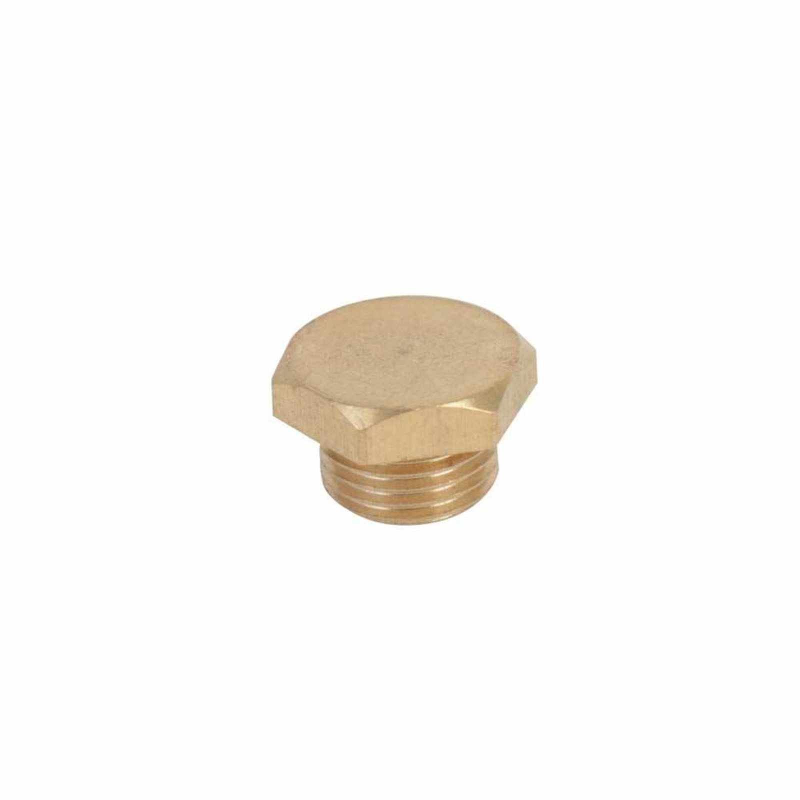 Tapón de cebado 1/4" para las bombas FIX05E, FIX10E, FIX15E, FIX15E/3230, STEPT60-07-03/1115, STEP80-10-03/1115. Modelo: FIX-E/TCEBADO1/4