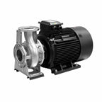 Motobomba de superficie horizontal. Modelo: FLUX55-403234