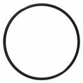 O-ring para el cuerpo de bomba de los modelos AP-50, AP-50X. Modelo: R-AP50/50XORINGCB