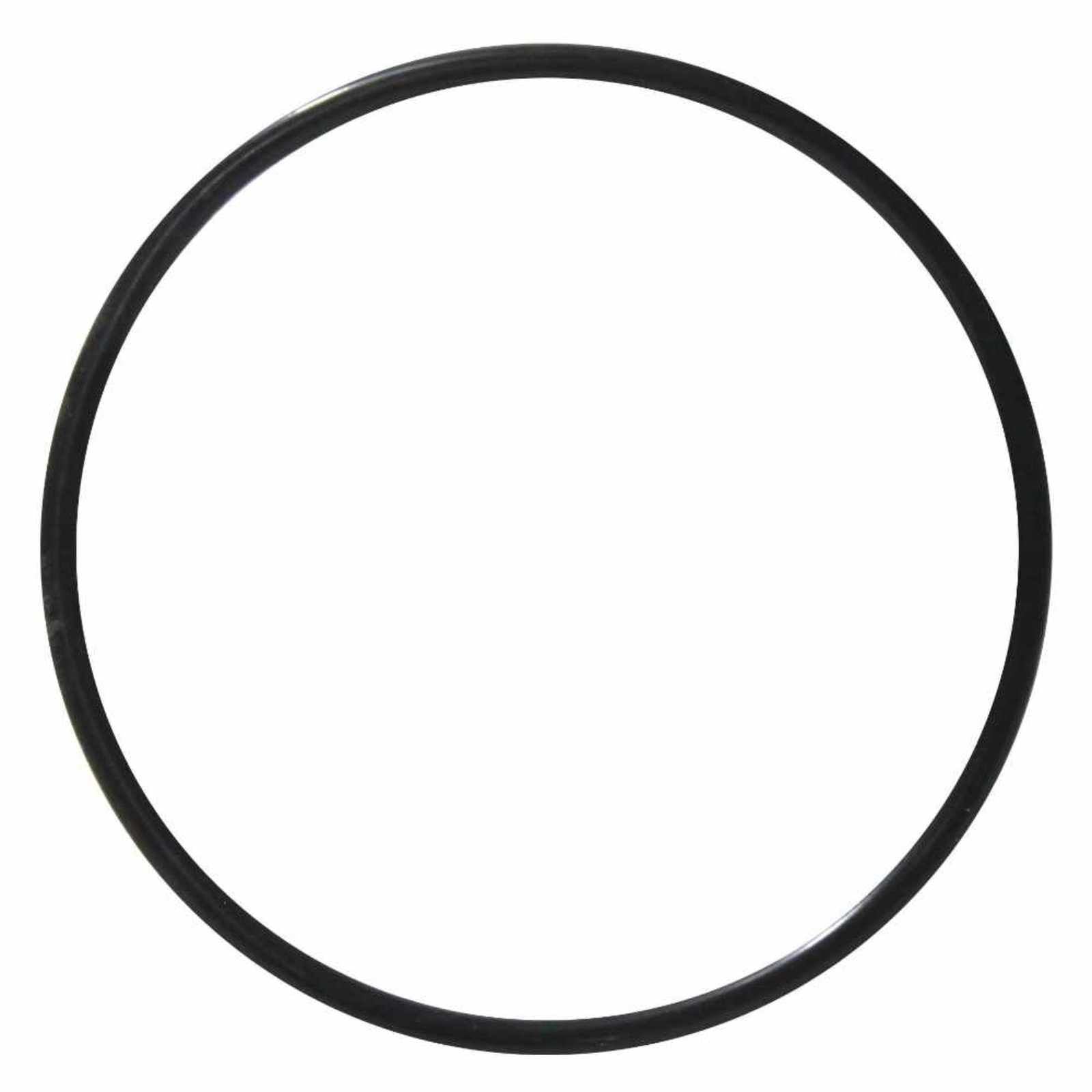O-ring para el cuerpo de bomba de los modelos AP-4, AP-5X. Modelo: ORING-AP5E