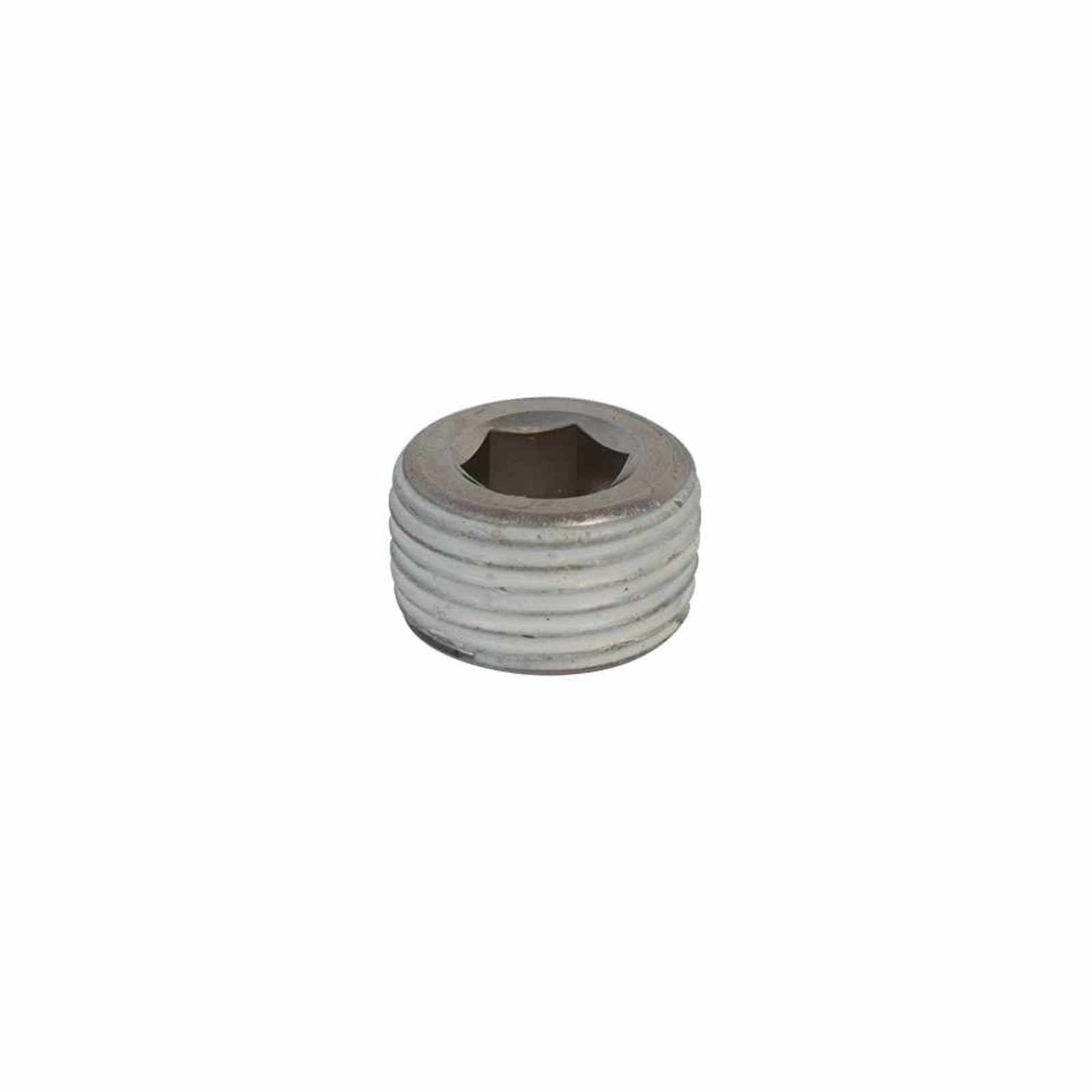 Tapón de purga / cebado para las bombas de la serie SCALA50, 100. Modelo: R-SC5/10TAPON