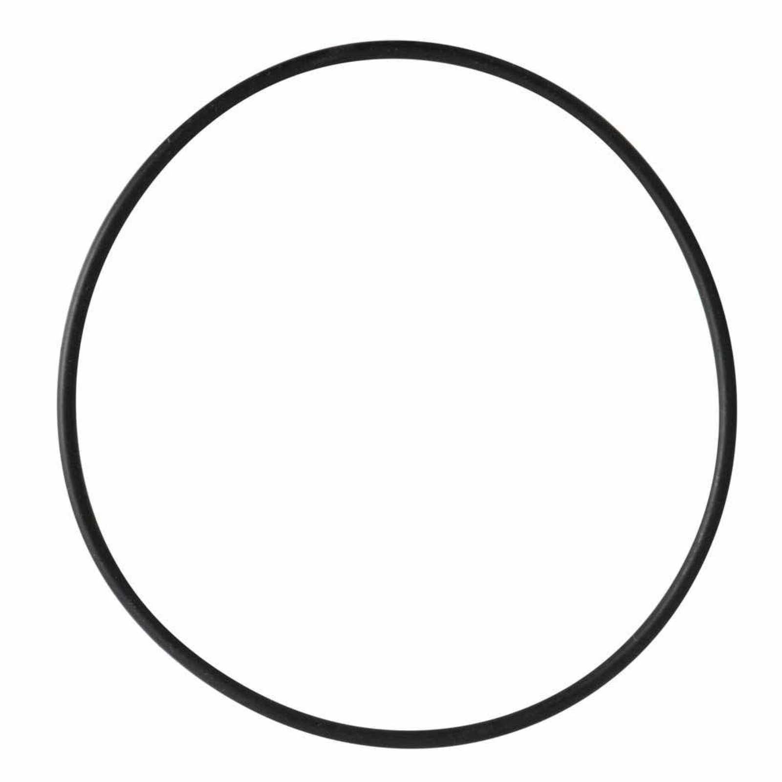 O-ring para la caja de conexiones para la bomba VENUS25N. Modelo: R-VENUSN/ORINGCC