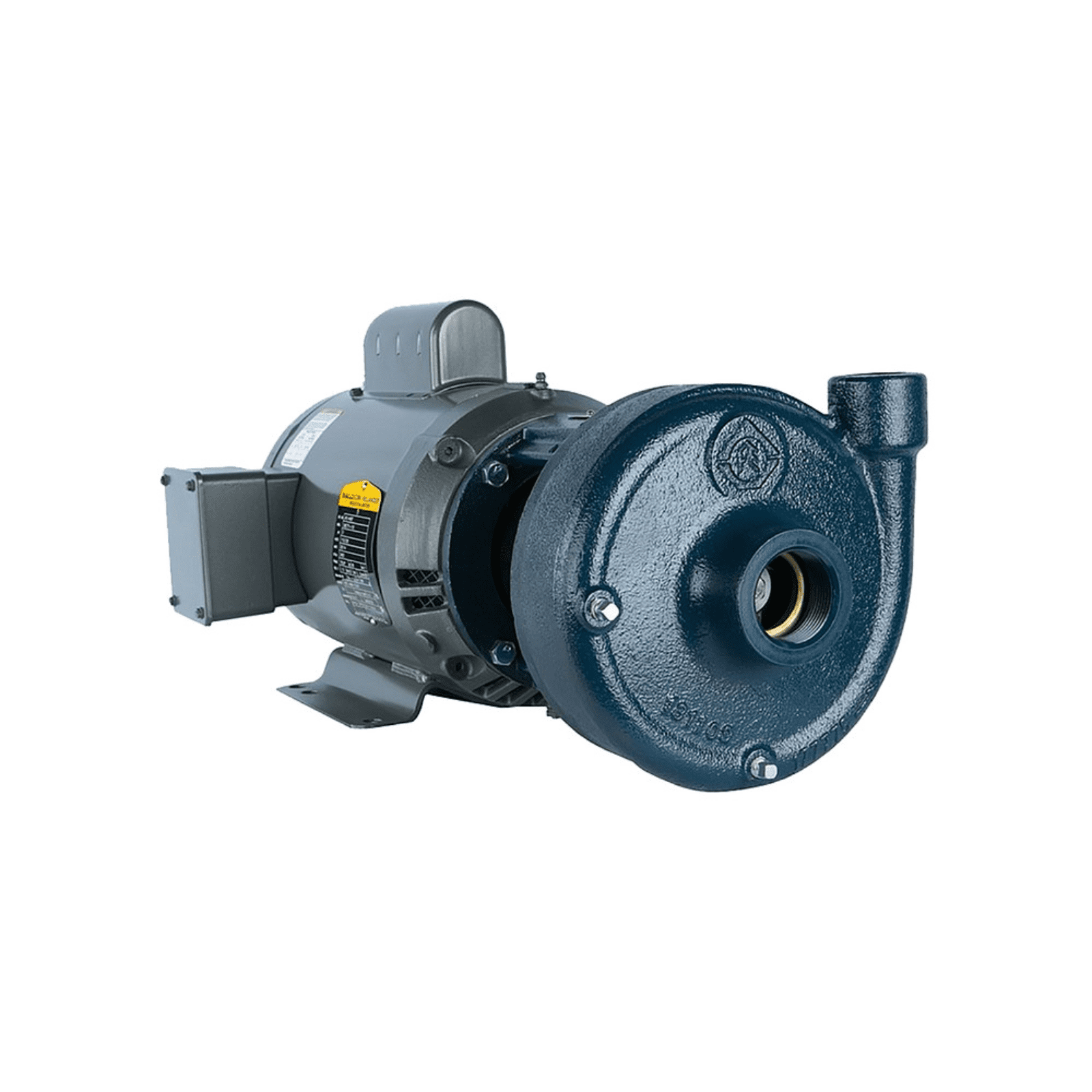 Motobomba centrifuga de superficie. Modelo: 10FPDB2-T